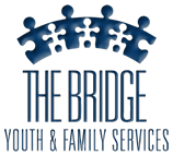 Bridge Youth and Family Services in Palatine IL