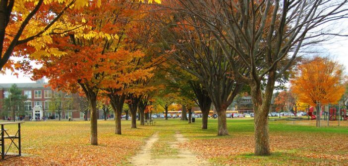 Key Development Center in Brighton MI