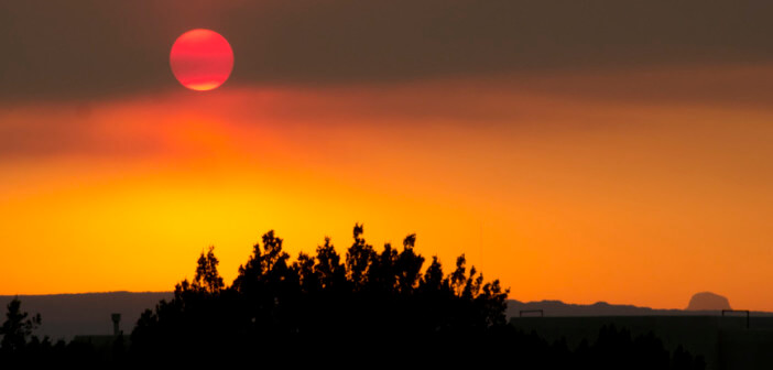 Little Colorado Behavioral Health Centers- Springerville office in Springerville AZ