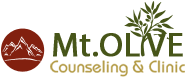 Mount Olive Counseling and Clinic in Ledgewood NJ