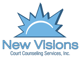 New Visions Court Counseling Inc in Downers Grove IL