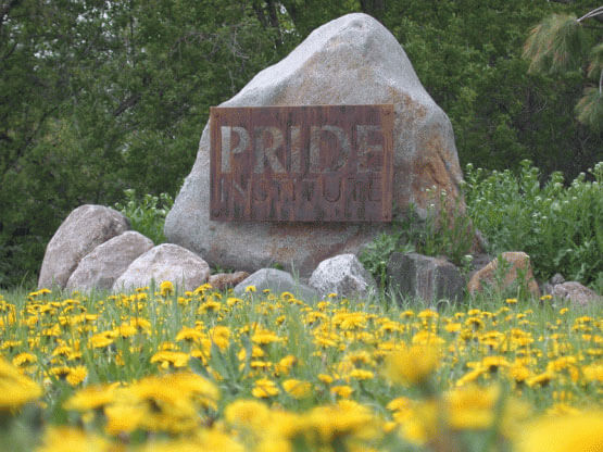 Pride Institute in Eden Prairie MN