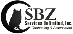SBZ Services Unlimited Inc in McDonough GA