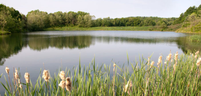 The Recovery Council in Waverly OH