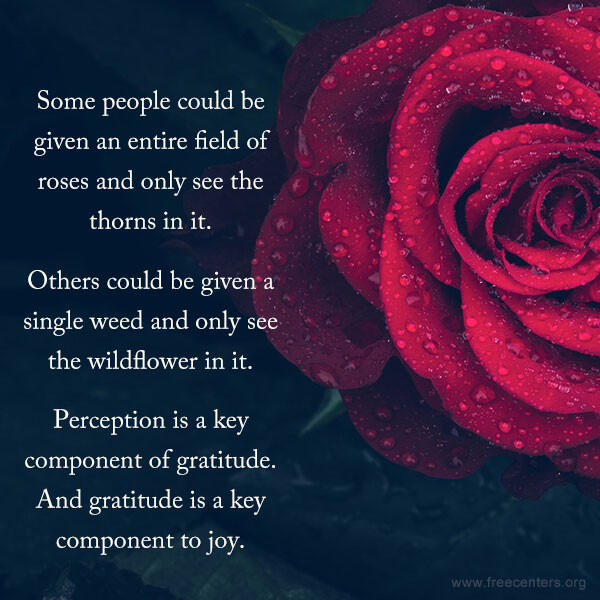 Some people could be given an entire field of roses and only see the thorns in it.<br>Others could be given a single weed and only see the wildflower in it.<br>Perception is a key component of gratitude. And gratitude is a key component to joy.