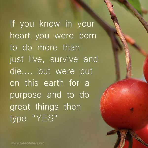 If you know in your heart you were born to do more than just live, survive and die.... but were put on this earth for a purpose and to do great things then type "YES".