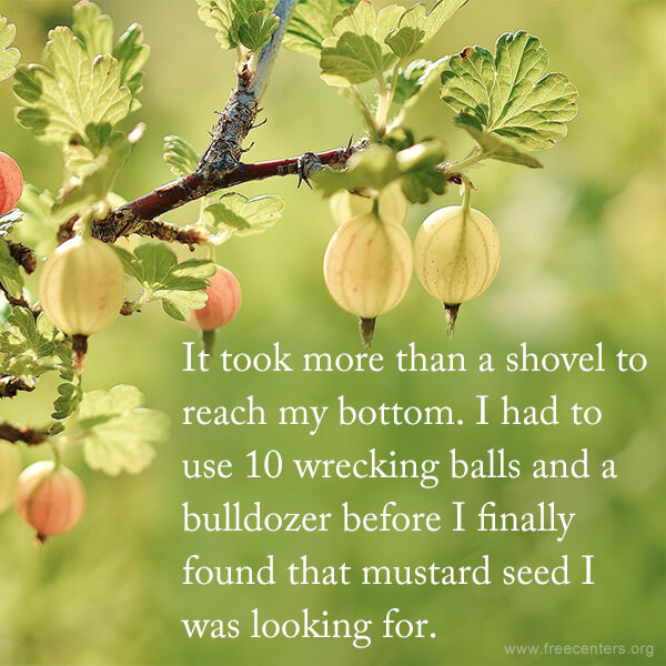 It took more than a shovel to reach my bottom. I had to use 10 wrecking balls and a bulldozer before I finally found that mustard seed I was looking for.