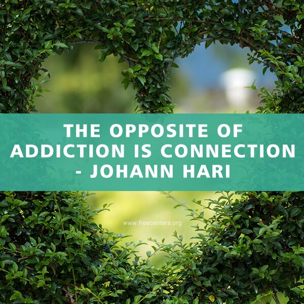 The opposite of addiction is connection.